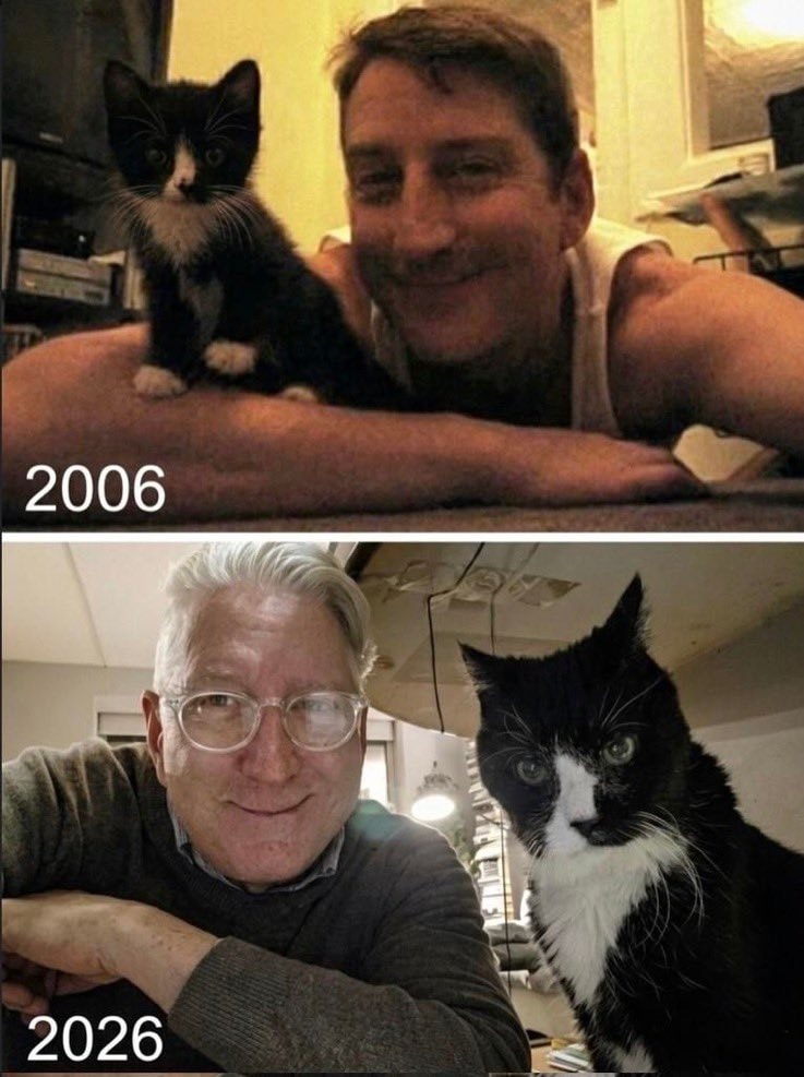 man and cat comparison
