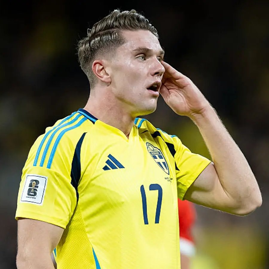 Sweden World Cup player (photo 1 of 2)