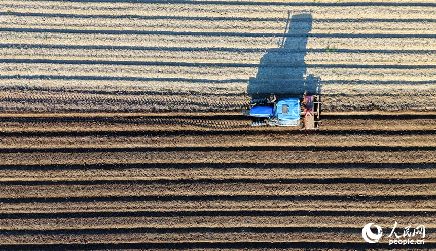 Jiangxi Chaisang district autumn farming (photo 4 of 4)