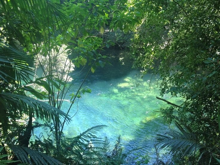 Tropical landscape with turquoise water (photo 4 of 4)