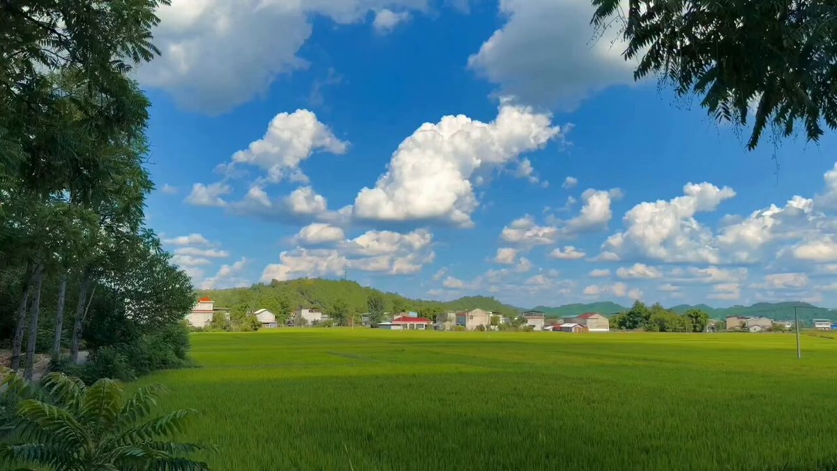 serene landscape moment