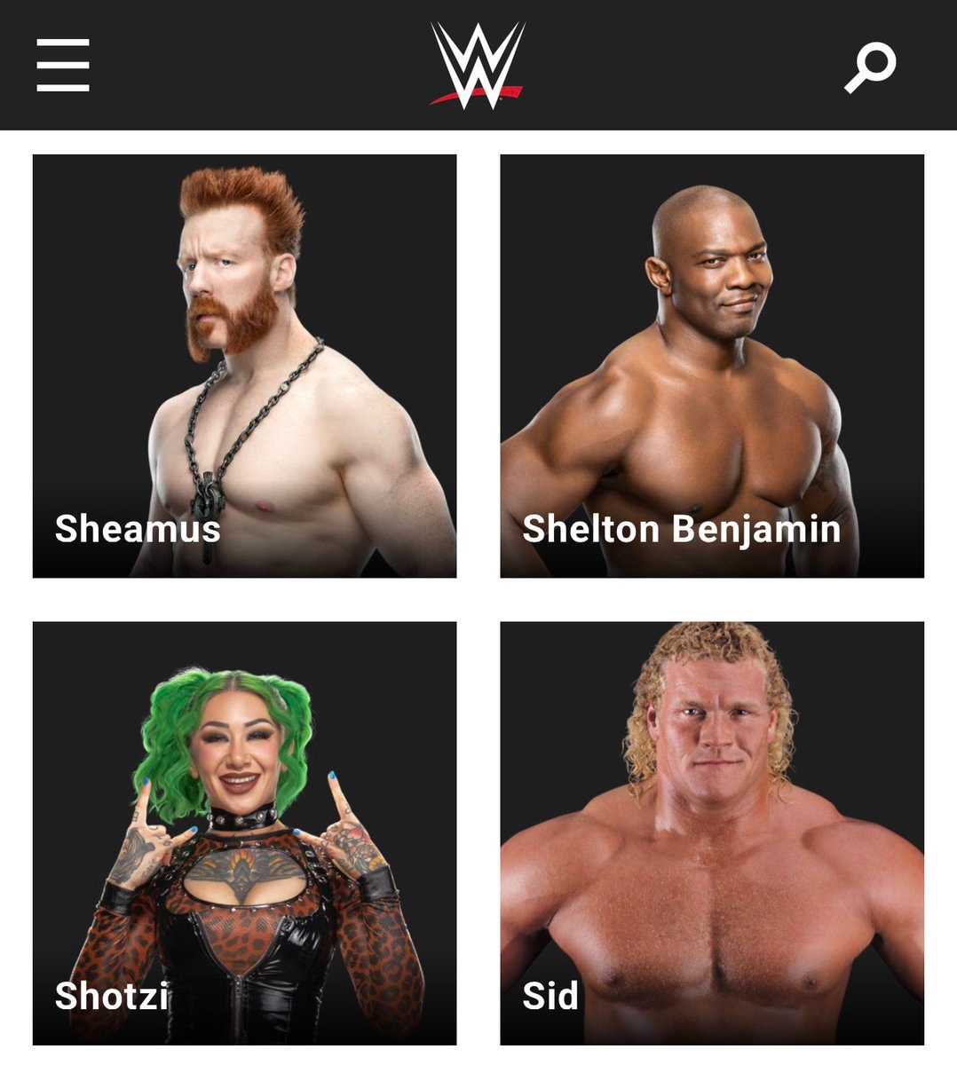 Sheamus WWE alumni (photo 2 of 2)