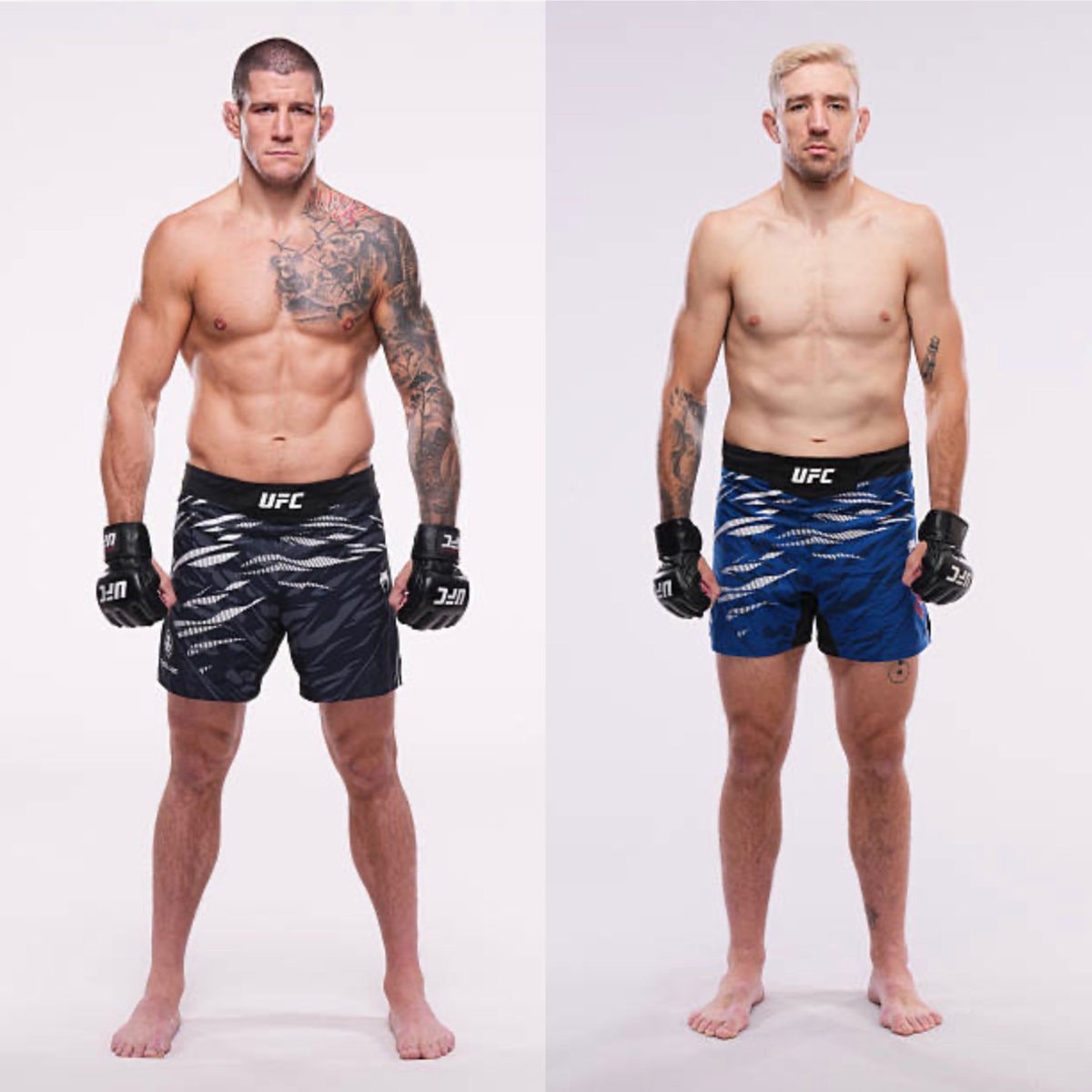 Barriault vs Daukaus UFC Edmonton