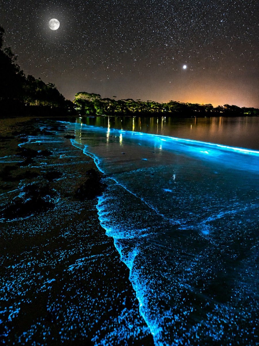 bioluminescent waves beach night (photo 3 of 4)