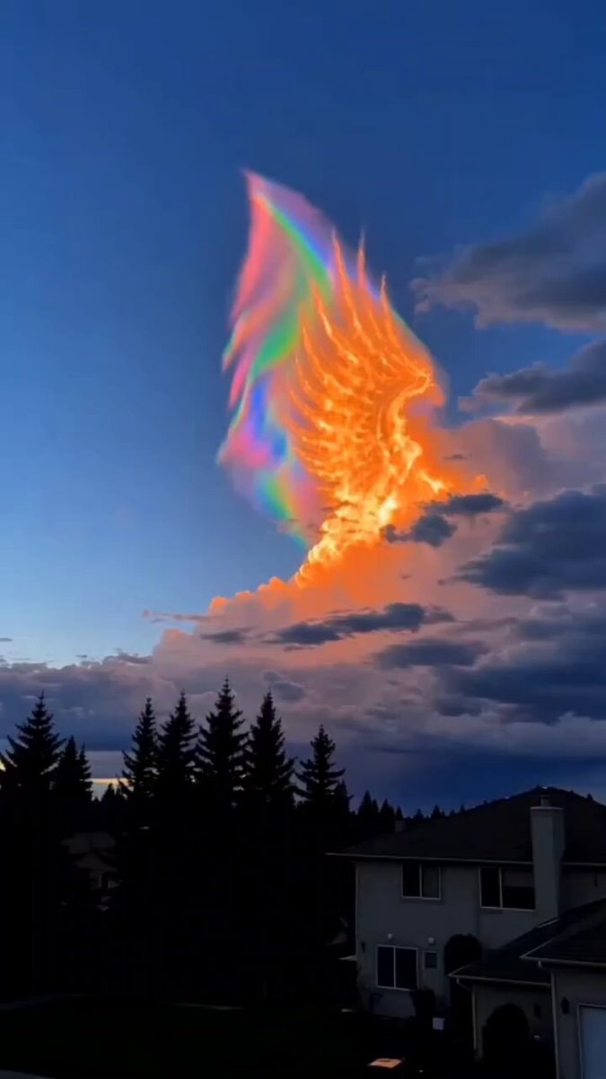 Phoenix rainbow sky
