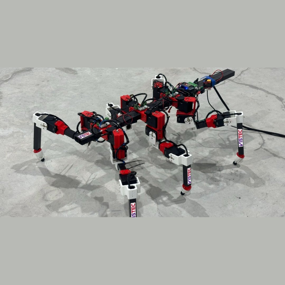 six-legged robot stick insect (photo 2 of 2)