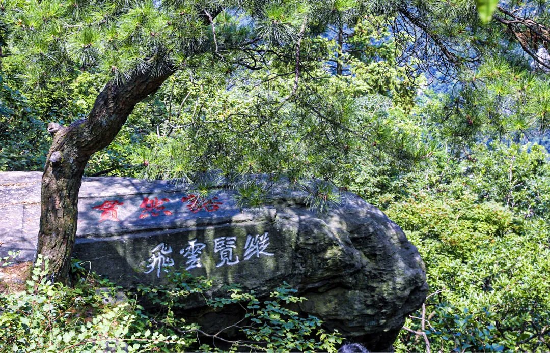 Jiangxi ancient trees (photo 3 of 4)