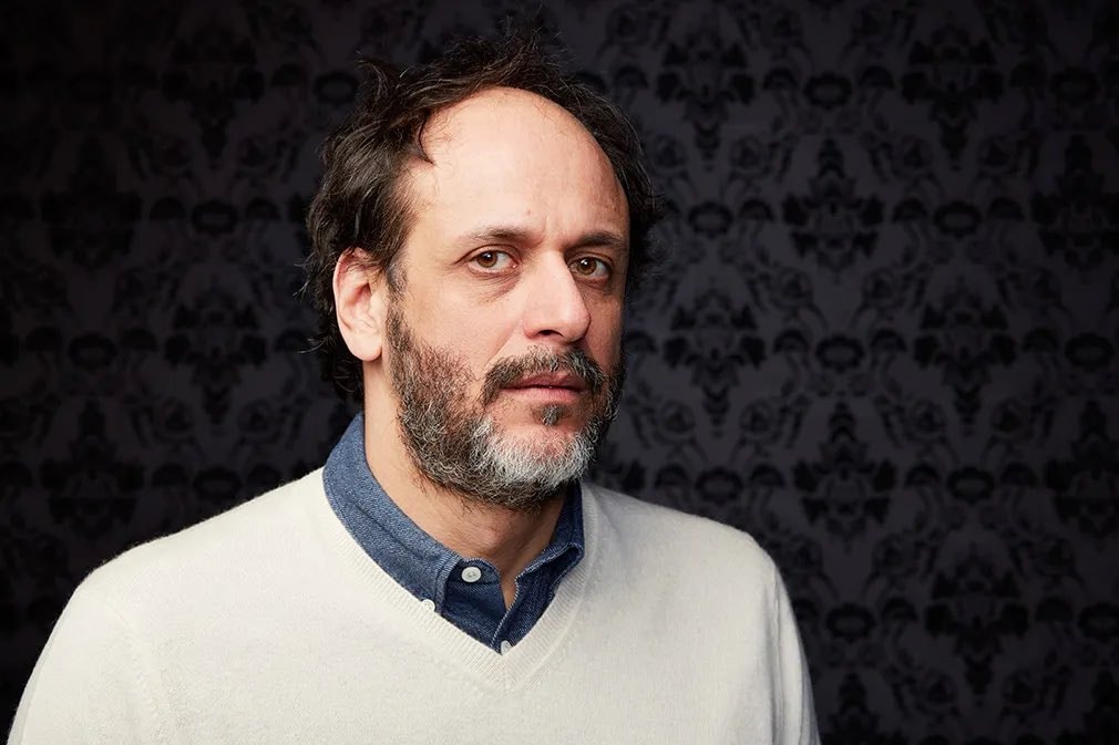 Hudson Williams Luca Guadagnino advice (photo 2 of 2)
