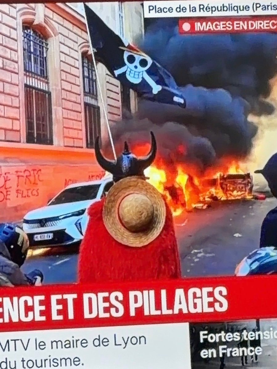Luffy protest France