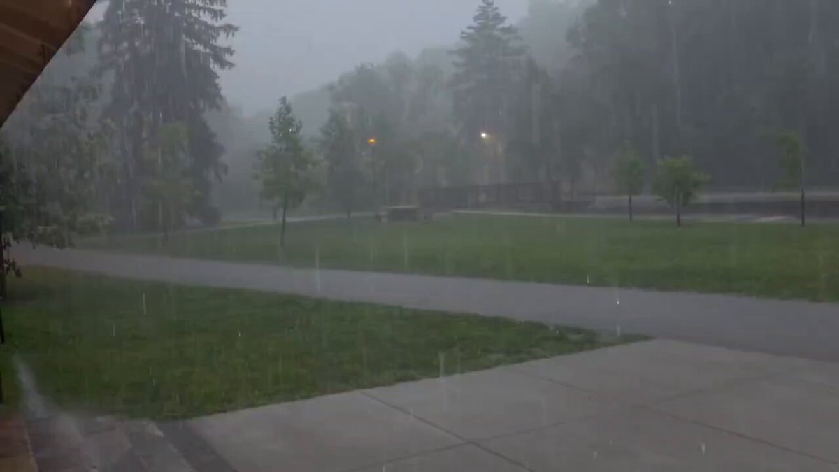 heavy rain in the park