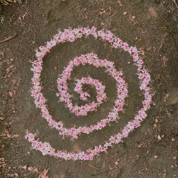 clover spiral with pink flowers (photo 2 of 4)