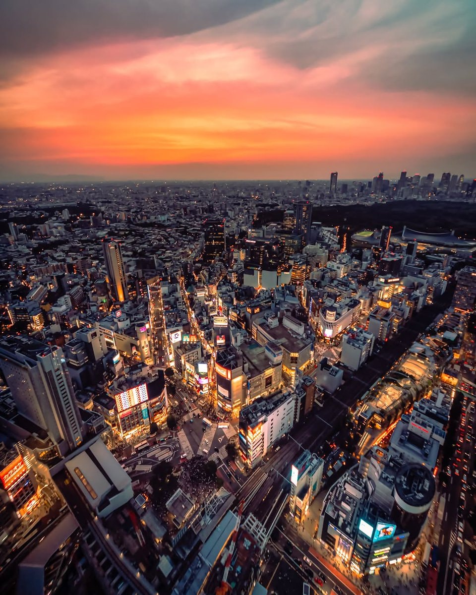 Shibuya Tokyo twilight