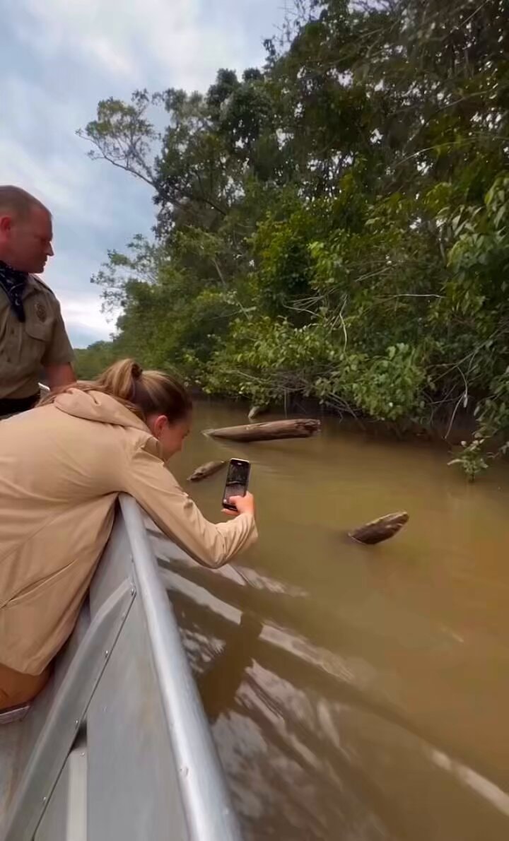 $12K/month AI alligator attacks