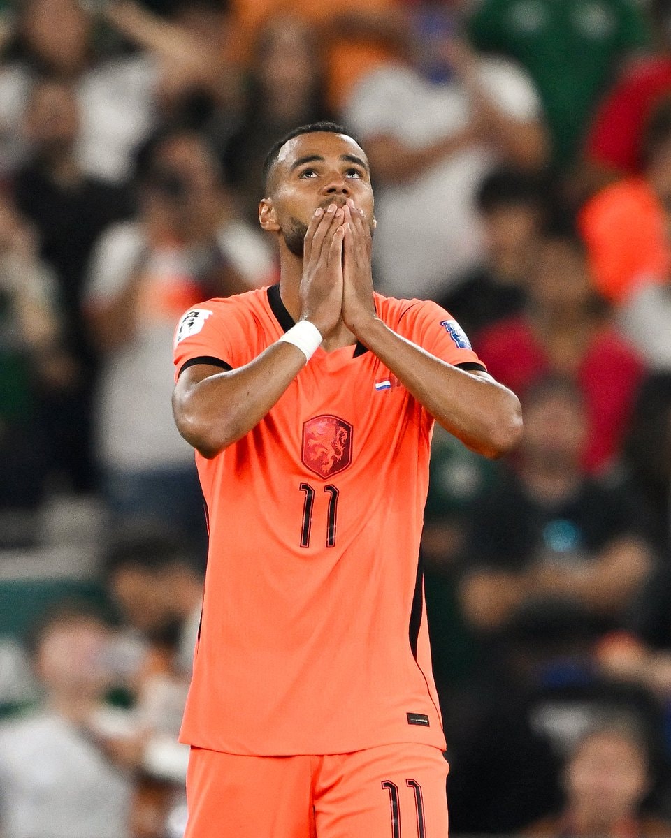 Netherlands World Cup performance 2026 (photo 1 of 2) Netherlands World Cup performance 2026 (photo 1 of 2)