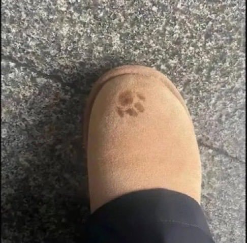tan boot with paw print (photo 1 of 2)