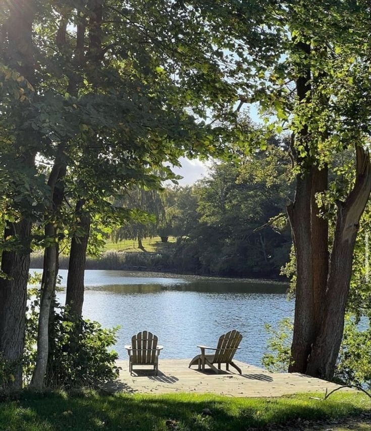Serene lakeside tree picnic spot (photo 4 of 4)