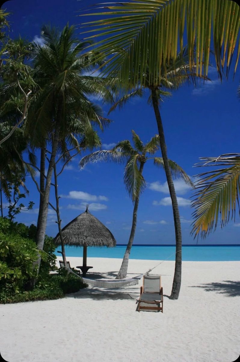 Maldives postcard
