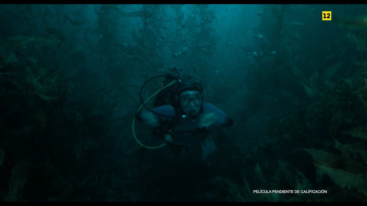 WHALEFALL box office results