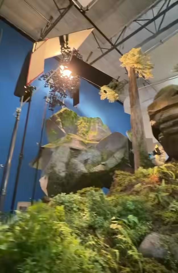 LAIKA WILDWOOD stop-motion set