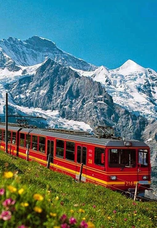 Interlaken Switzerland wildflowers lake mountains (photo 2 of 4)