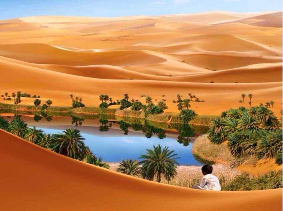 Libyan desert camels diversity (photo 2 of 4)