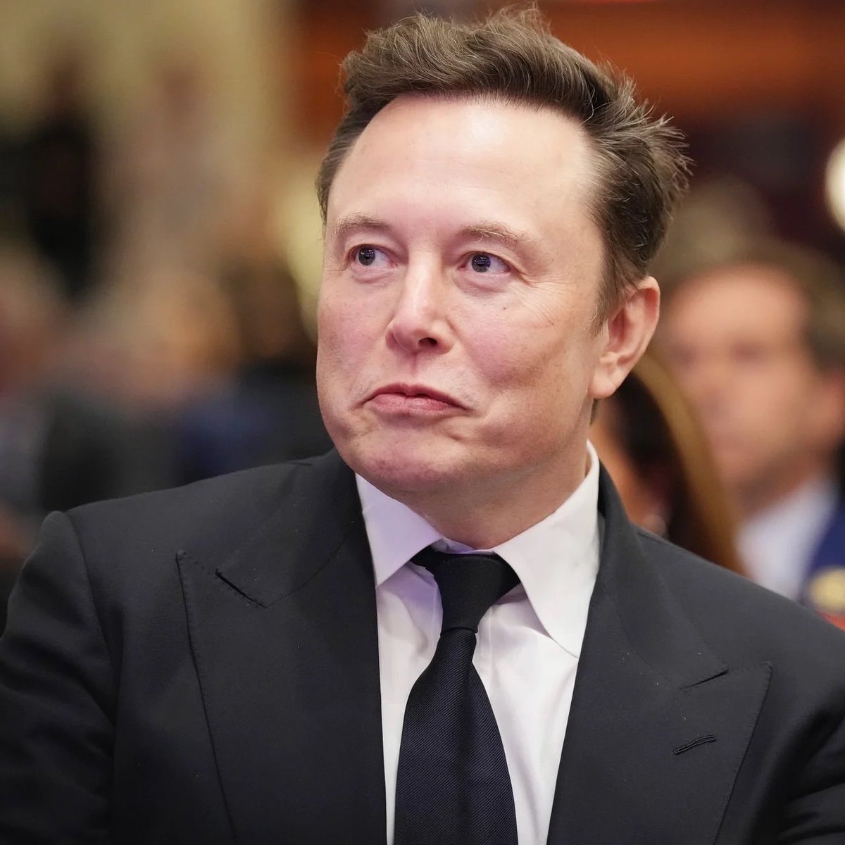 Putin on Elon Musk (photo 2 of 2)