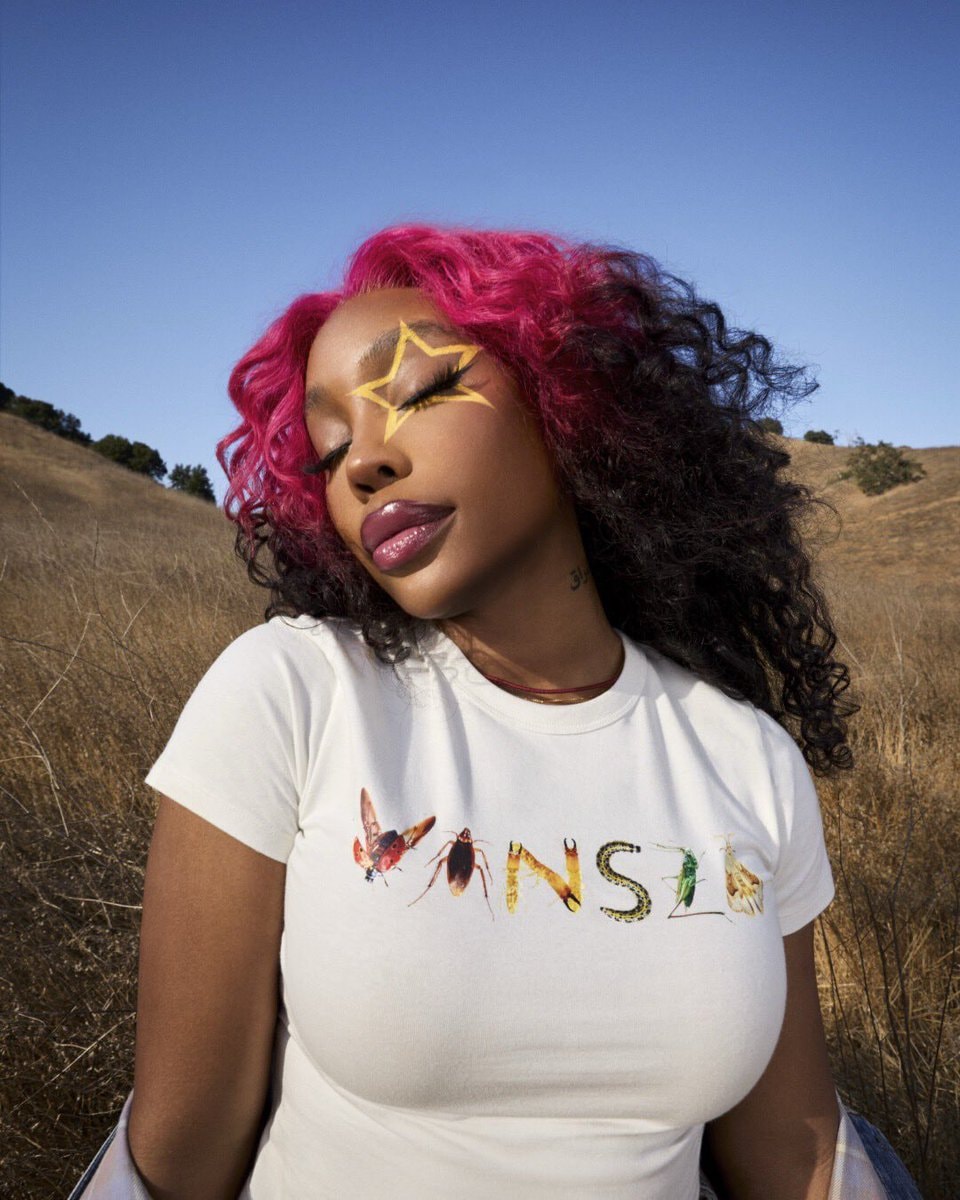 SZA VANSZA collection with Vans (photo 2 of 2)