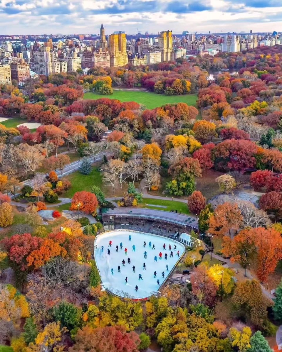 Autumn in New York (photo 3 of 4)