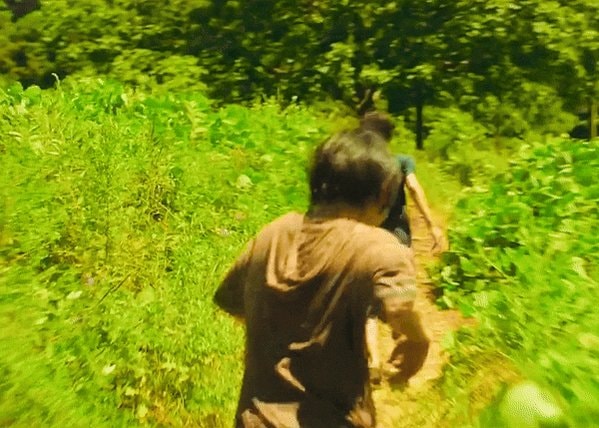 forest walk scene from the 2020s best film
