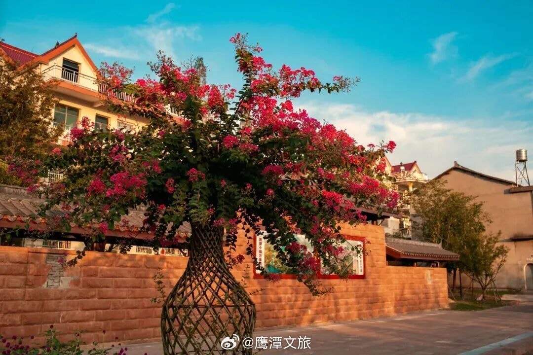 Yingtan Jiangxi autumn guide (photo 2 of 4)