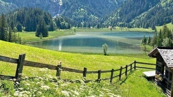 Switzerland spring bloom (photo 2 of 3)