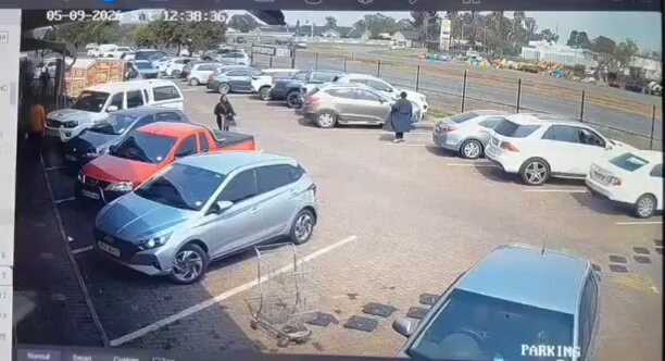car guard does nothing