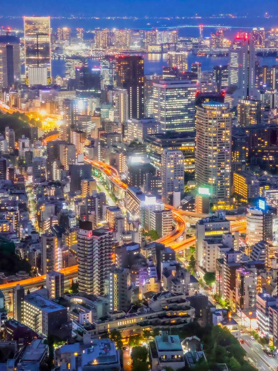 Tokyo Japan cityscape (photo 2 of 4)