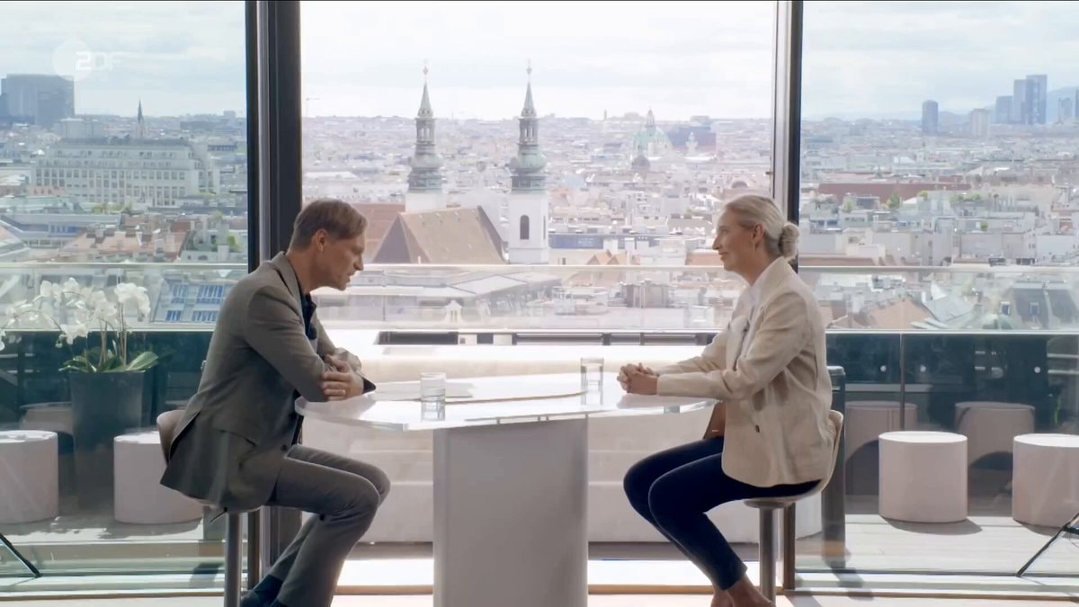 Alice Weidel AfD interview claims