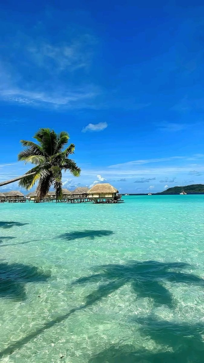 Maldives overwater bungalows