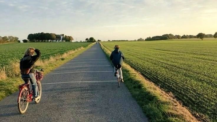 elyra walk with dog fields (photo 3 of 4)