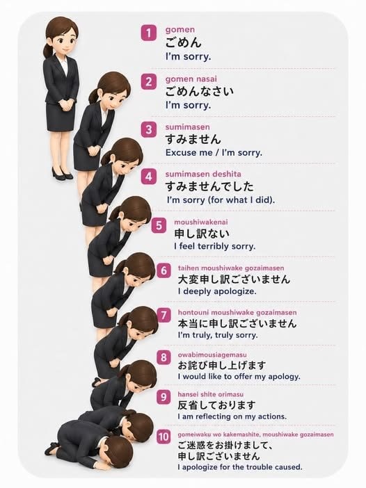 Japanese apology bow levels guide