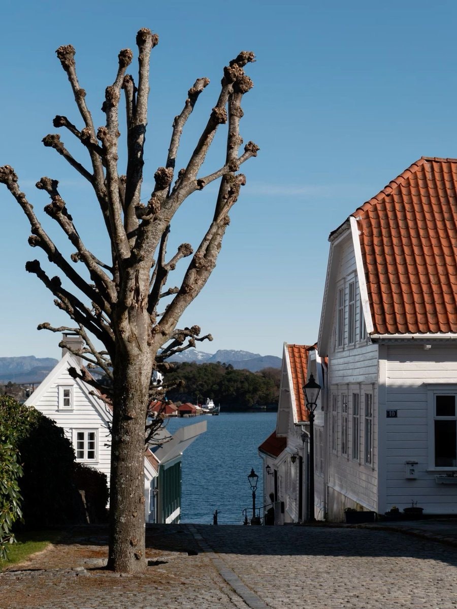 Stavanger Norway streets (photo 2 of 4)