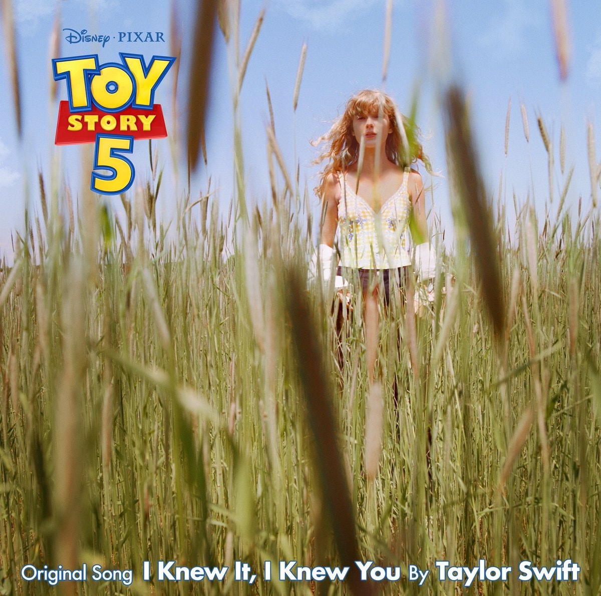 Taylor Swift I Knew It I Knew You