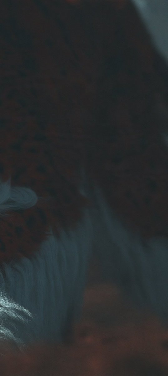 figure in white garment and furry creature (photo 3 of 4)