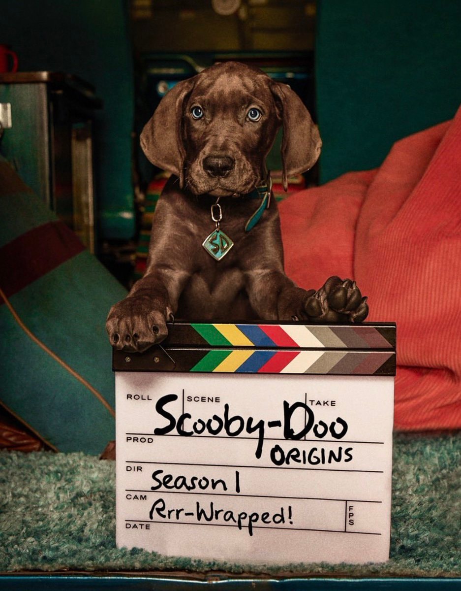 Scooby-Doo new look