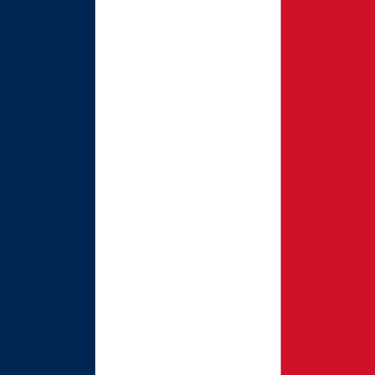 France Sweden World Cup elimination