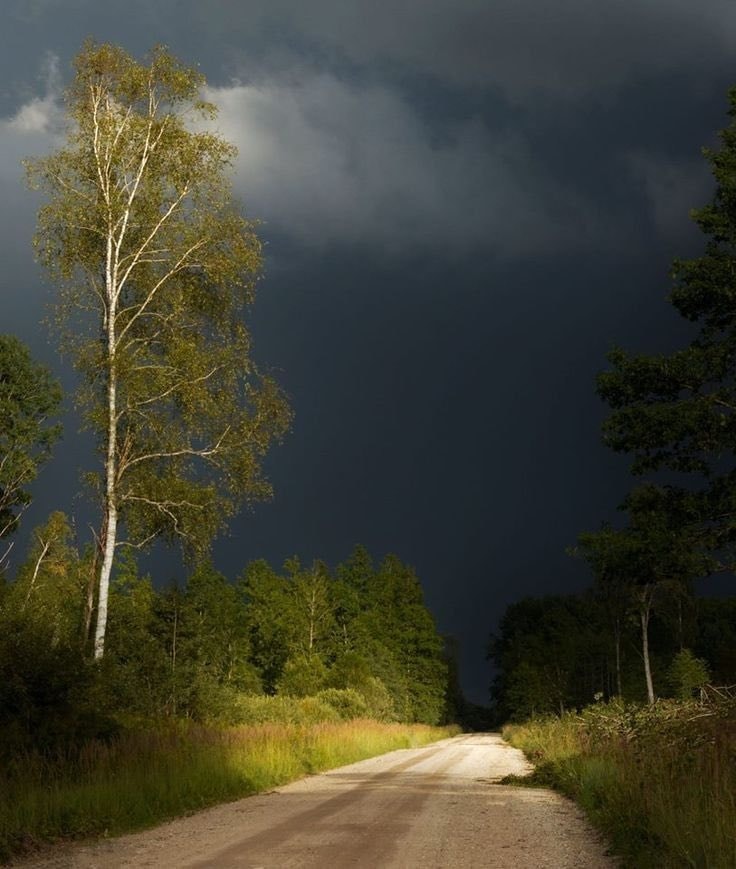 Gloomy weather love (photo 4 of 4)