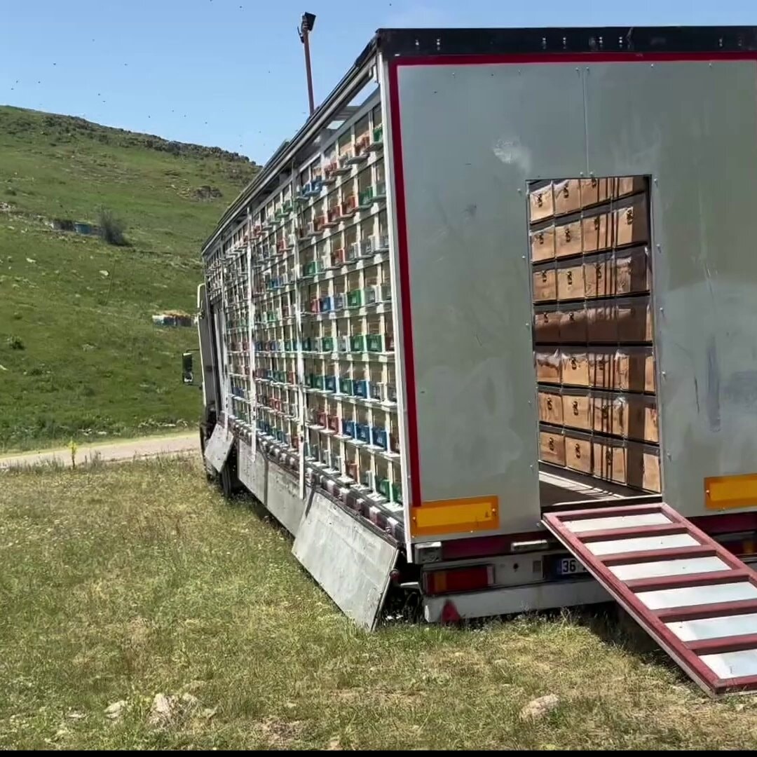 Turkish solar-powered mobile honey factory