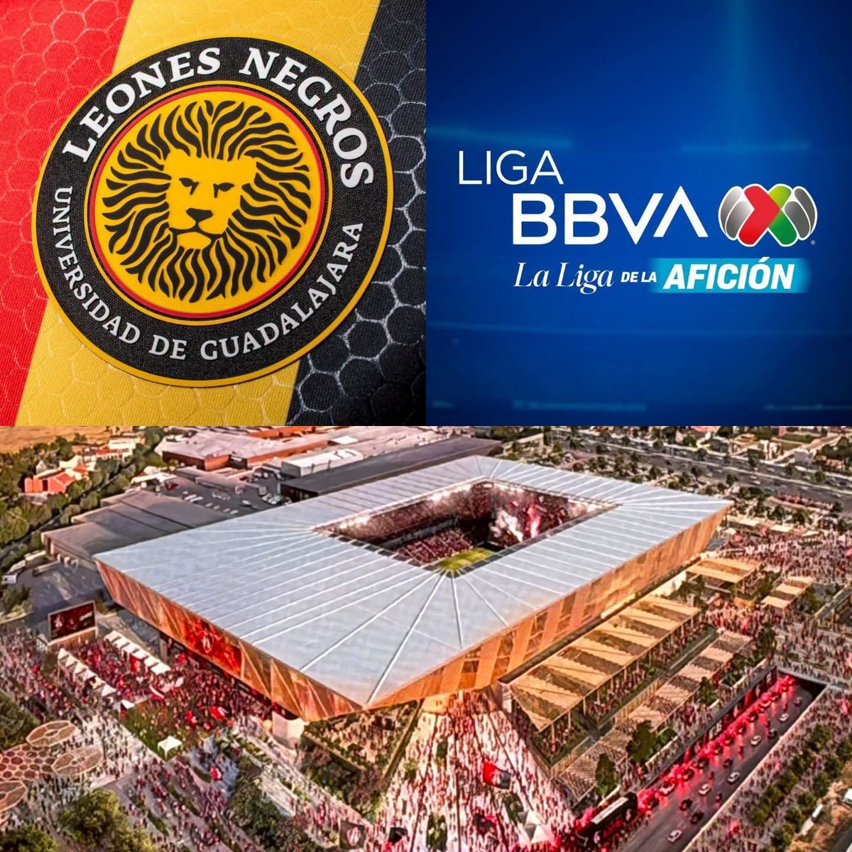 Liga MX expansion LEONES NEGROS DE LA UDG Liga MX expansion LEONES NEGROS DE LA UDG