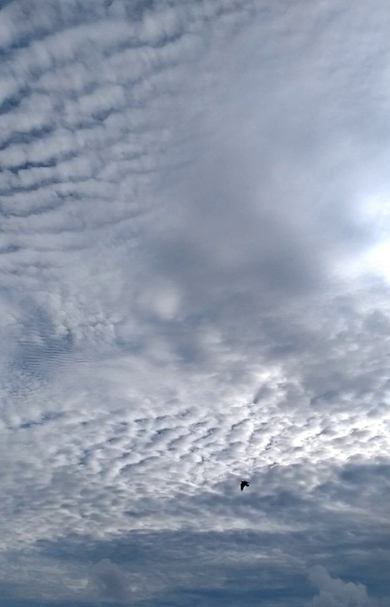 Aesthetic sky moment Aesthetic sky moment