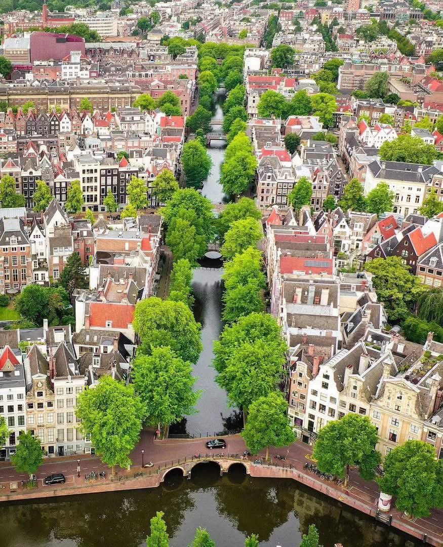 Amsterdam canal scene