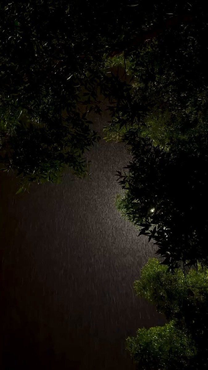 loving the rain at night