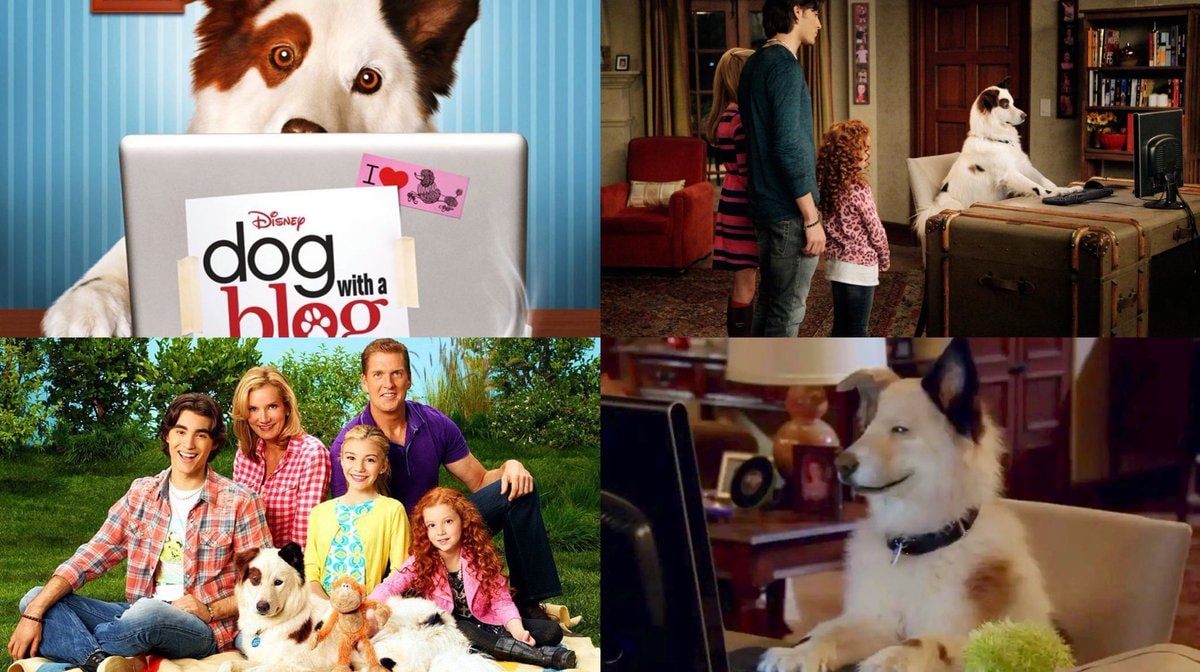 Dog with a Blog 14 years