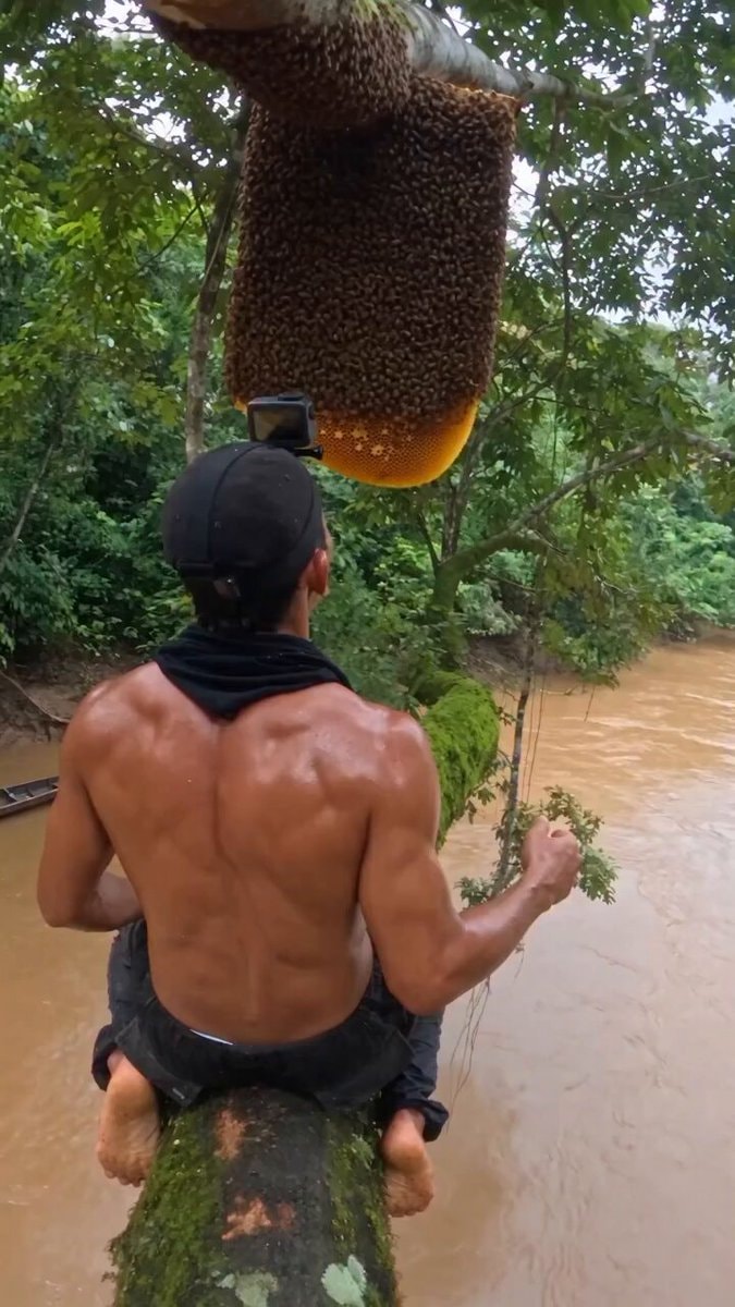 Man reacting to large beehive